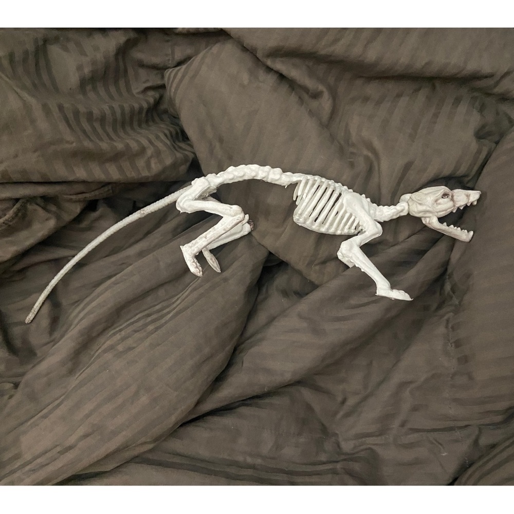 Decor Halloween Skeleton Rat Small Dog Decoration Spooky Goth Punk Skull Bones
